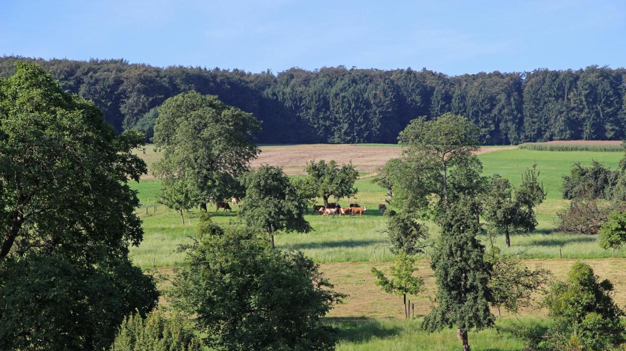 Ferienhof Knoll Lindenfels Exterior photo
